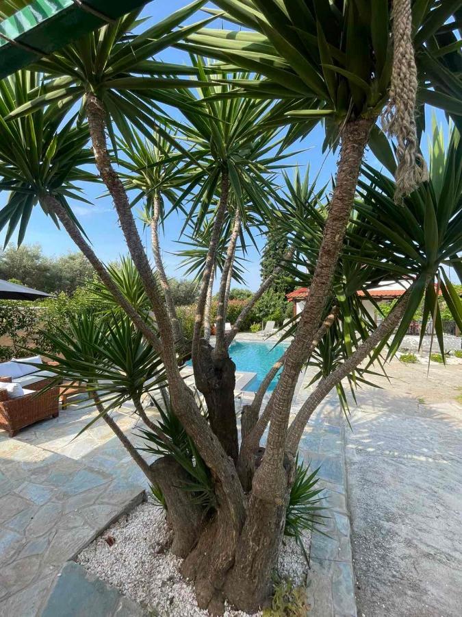 Vila Kalimera Private Pool Неа-Потидеа Экстерьер фото